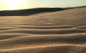 The Yard Ramp Guy: Sand Pads